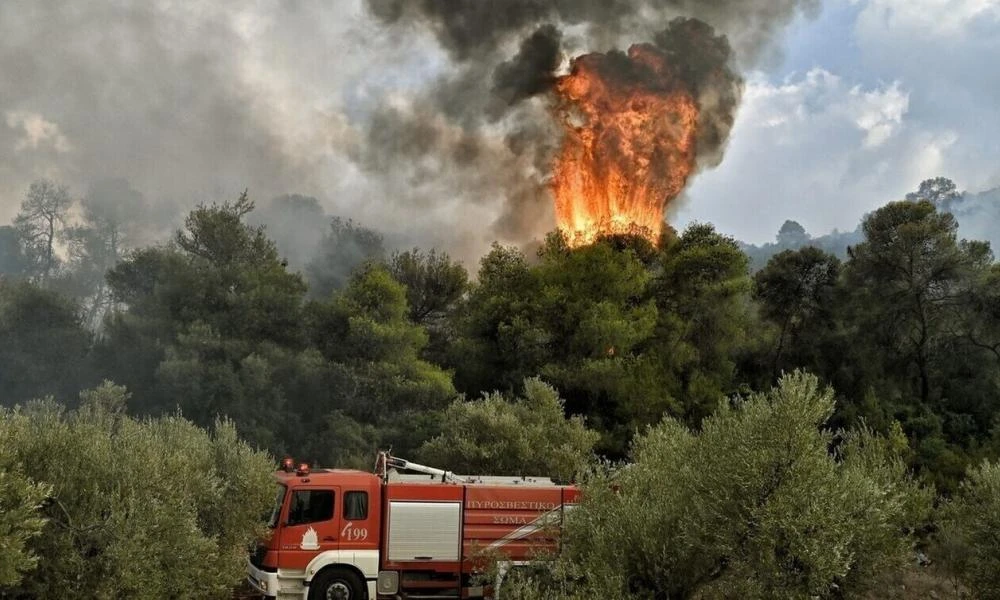 Φωτιά ξέσπασε στη Μυτιλήνη: Κινητοποιήθηκαν επίγειες δυνάμεις